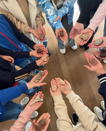 Workshop How to make your own homemade soap easily